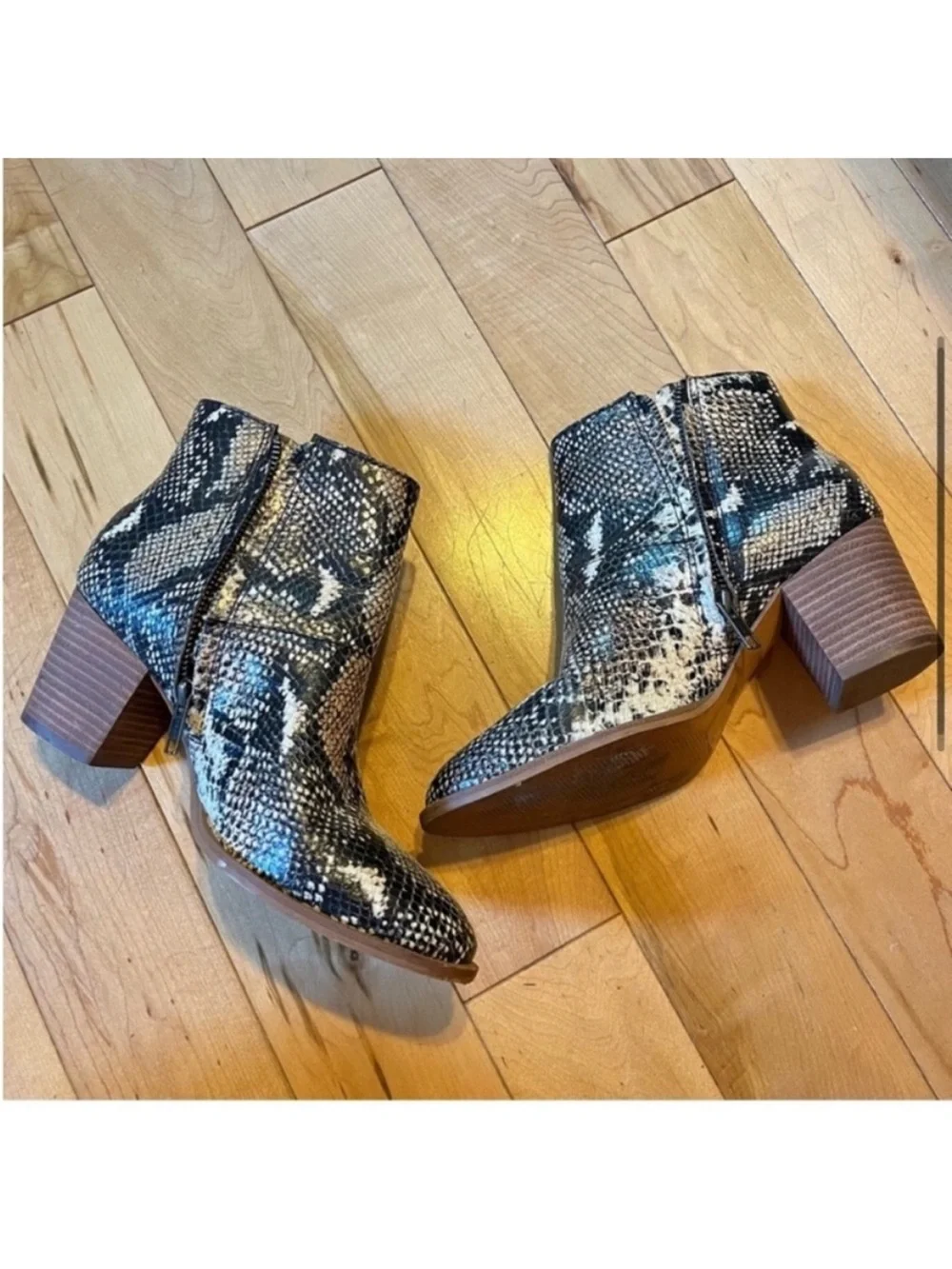 Madewell Ankle Boots Snake Embossed Leather Moonstone Multi size seven (7)